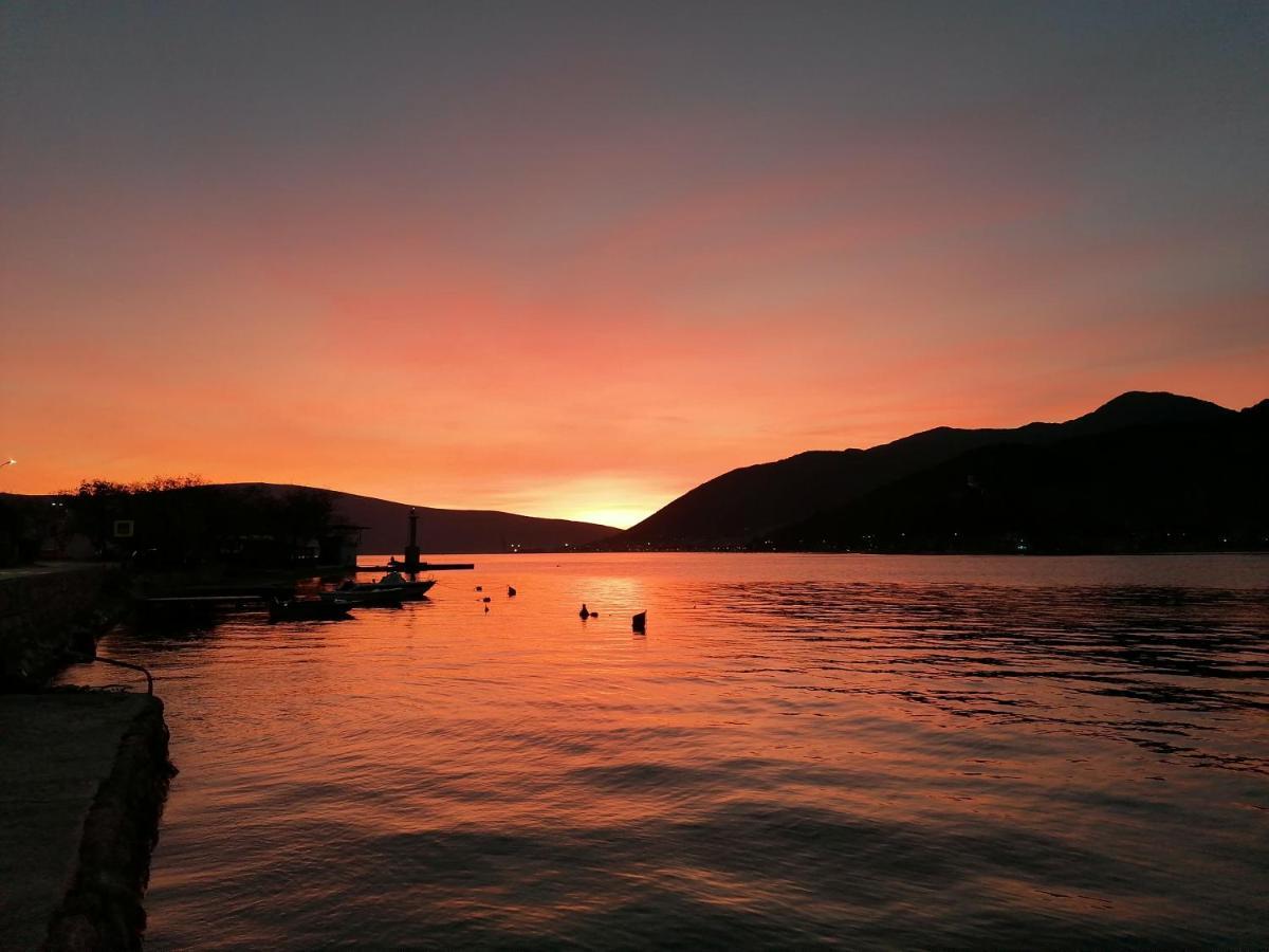 Stevovic Apartments Tivat Bagian luar foto